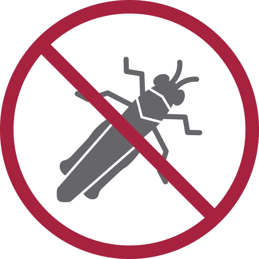 Button_Rund_Insektenfrei